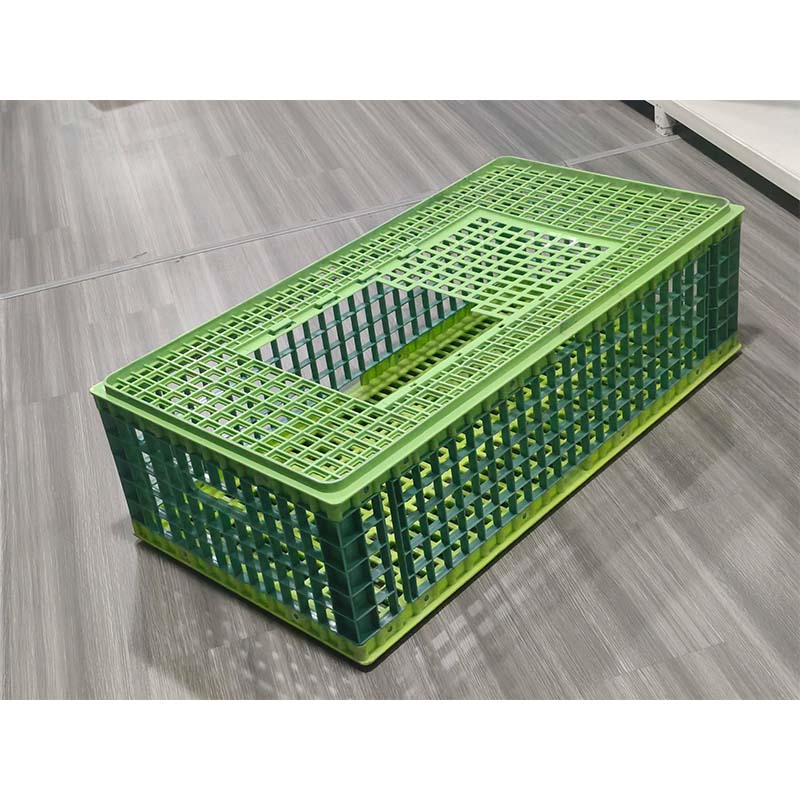 Пластиковая форма для курятника