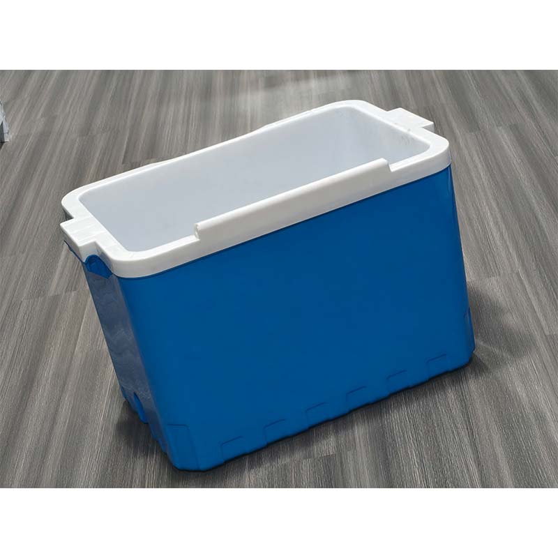 Пластиковая форма для литья рыбы под давлением