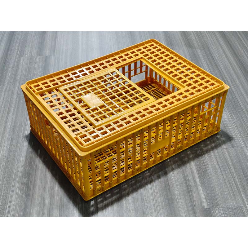 Пластиковая литьевая форма для курятника