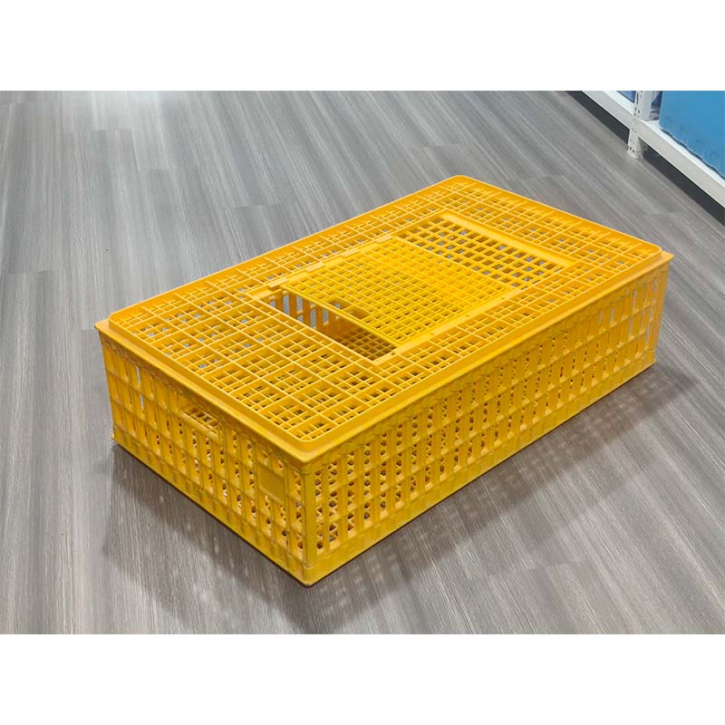 Пластиковая литьевая форма для курятника